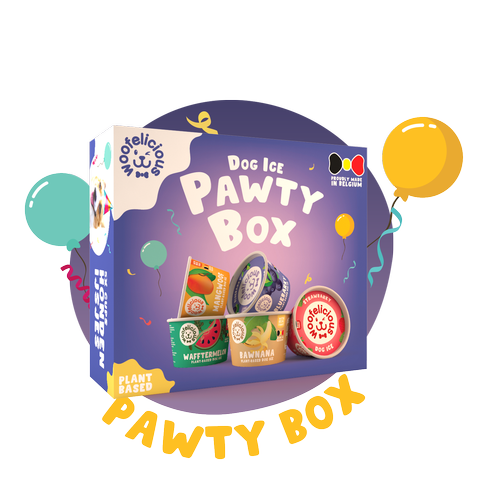 Coffret Pawty Box Woofelicious - Assortiment de glaces pour chiens - Instinct Naturel Le Mans