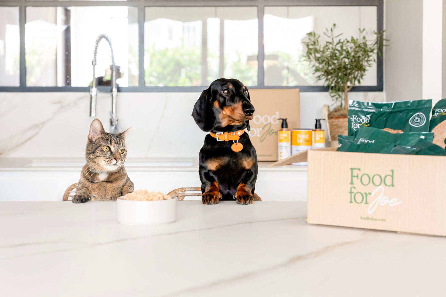 Ration ménagère équilibrée Food for Joe pour chien - Instinct Naturel Le Mans Sarthe