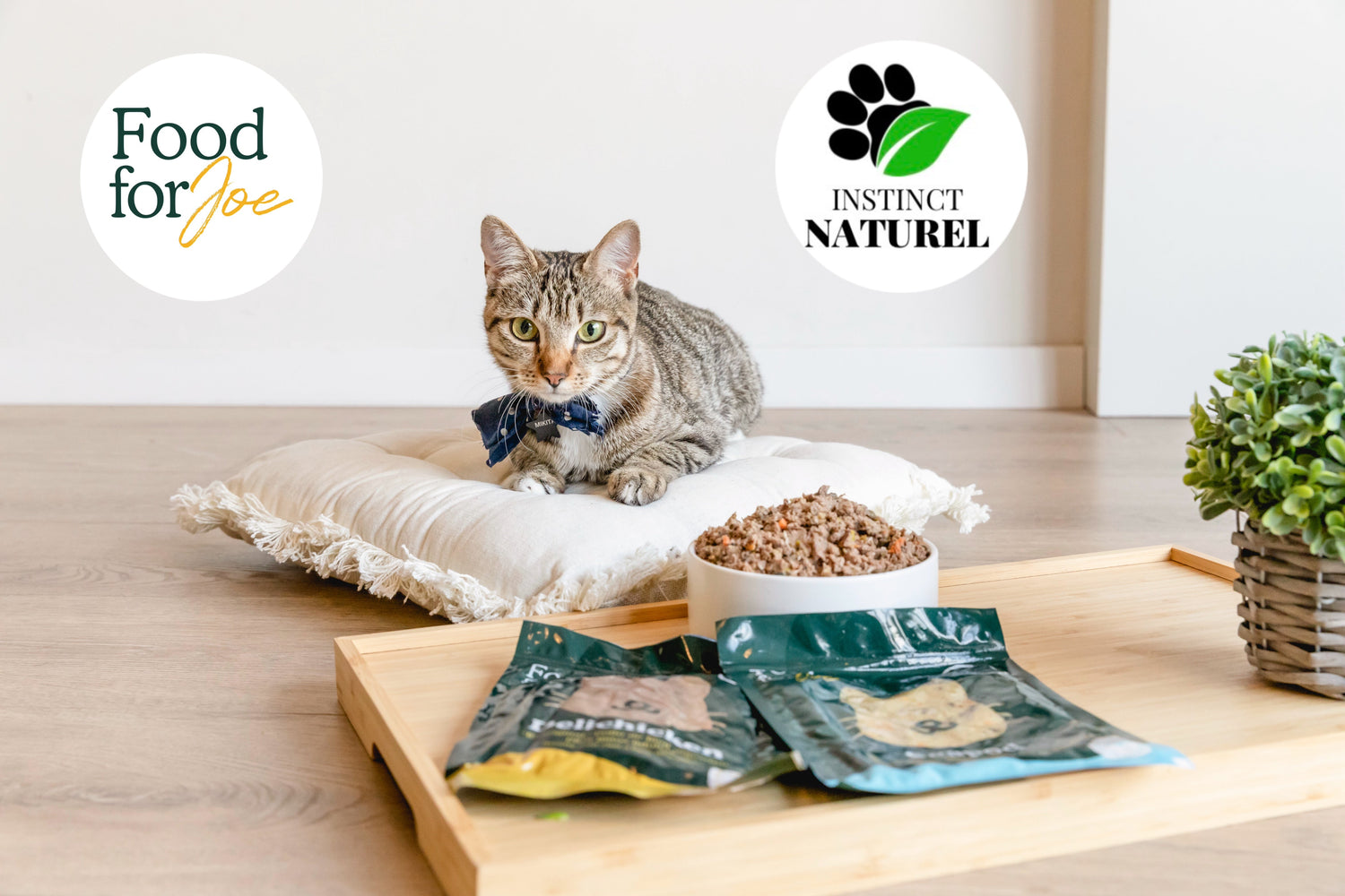 Alimentation humide naturelle Food for Joe pour chat - Instinct Naturel Le Mans