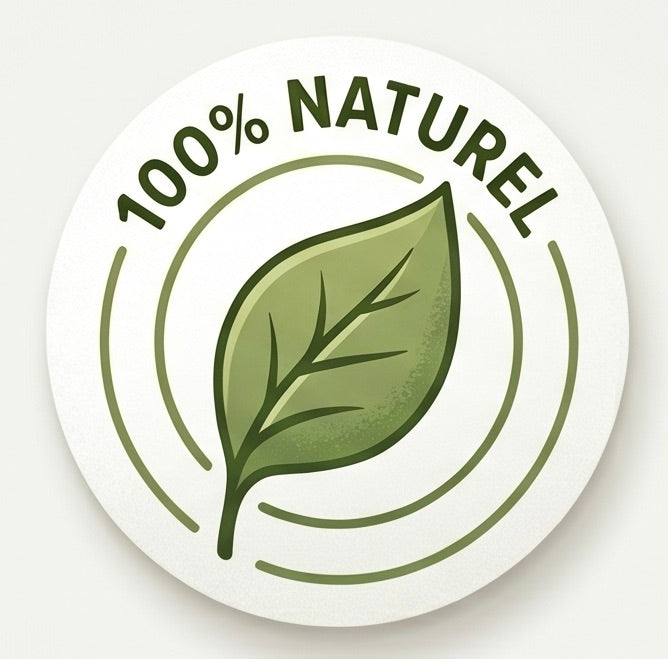 Logo feuille verte symbolisant l'alimentation 100% naturelle pour chiens et chats Instinct Naturel