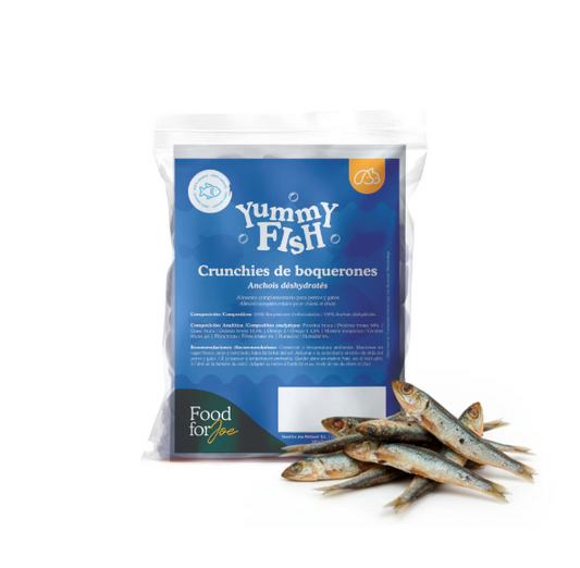 Sachet transparent de friandises Yummy Fish d'anchois déshydratés pour chiens et chats par Food for Joe. L'étiquette bleue affiche les conseils et la composition analytique au-dessus des petits poissons entiers séchés.