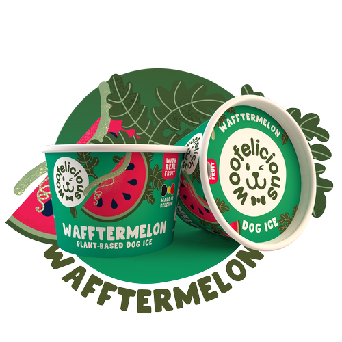 Pot de glace Woofelicious pour chien saveur pastèque, une friandise givrée et naturelle pour l'été