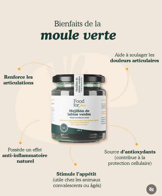 Poudre de Moule Verte pour chien et chat, complément naturel pour les articulations et la mobilité.